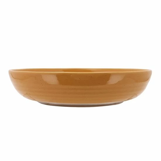 Food Network™ Farmstead Dinner Bowl Blue 8 Food Network™ Farmstead Dinner Bowl Blue - Image 6